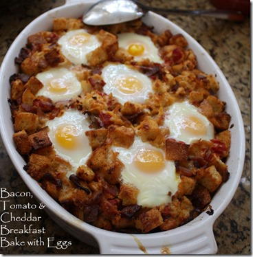 Fancy Bacon Tomato Egg Bake