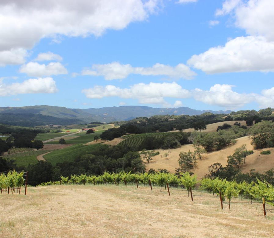 Paso Robles: The Ultimate Adventure Guide To Fun Things To Do! - o9rywy9