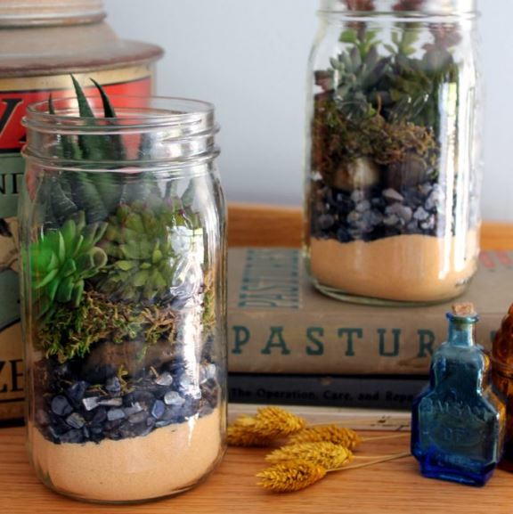 DIY Mason Jar Terrarium