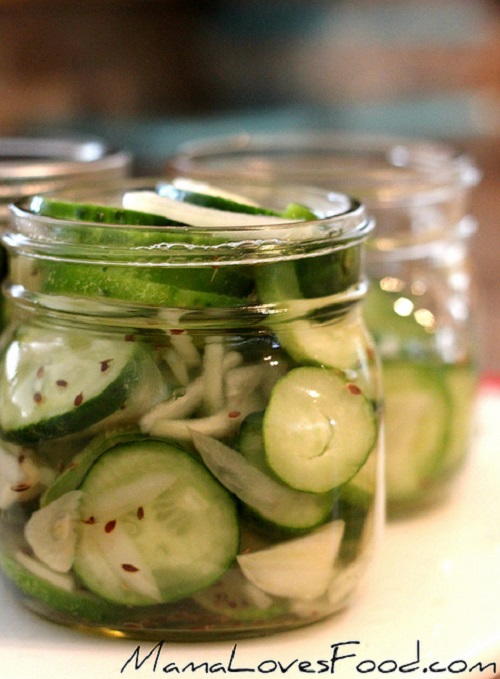 Garlic Dill Refrigerator Pickles