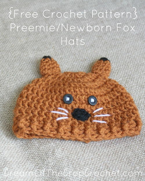 Preemie/Newborn Fox Hat