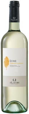 iLauri Lume Trebbiano dAbruzzo 2014