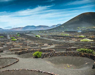 All About Canary Islands Wine