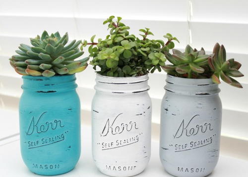 Indoor Garden Mason Jar Planters