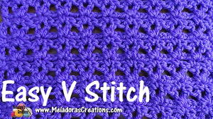 Easy V Stitch | AllFreeCrochet.com