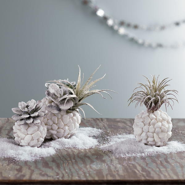 Frozen Succulent Planters