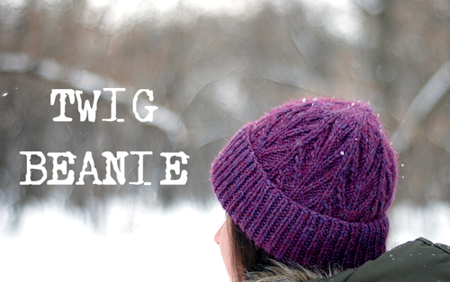 Twig Beanie