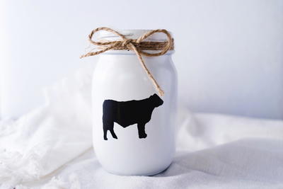 Adorable Farmhouse Mason Jar Craft