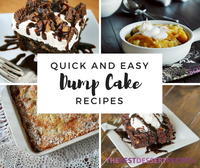28 Super Simple Dump Cake Recipes