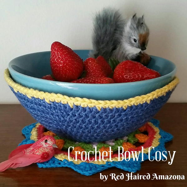 Crochet Bowl Cosy
