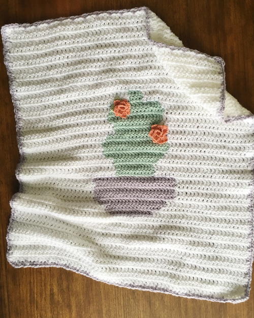 Summer Cactus Crochet Blanket