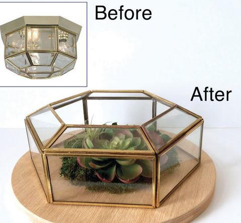 Upcycled DIY Succulent Terrarium