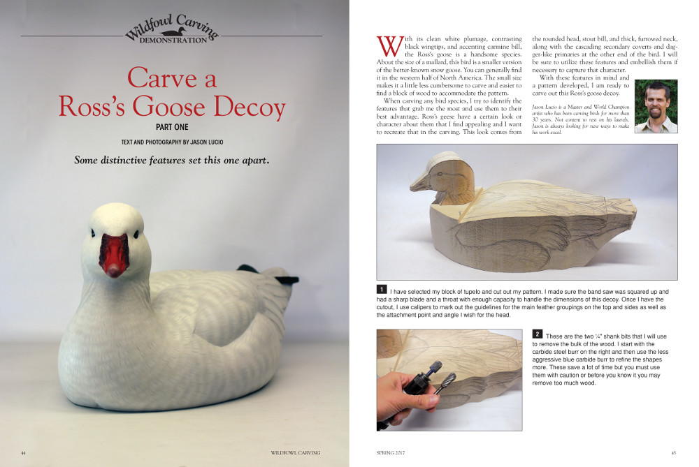 Geese of the World - Wildfowl