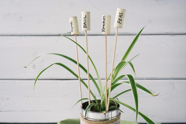 Quick and Easy DIY Garden Labels