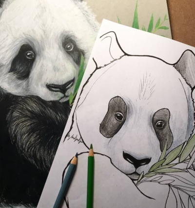 Panda Printable Coloring Pages for Kids