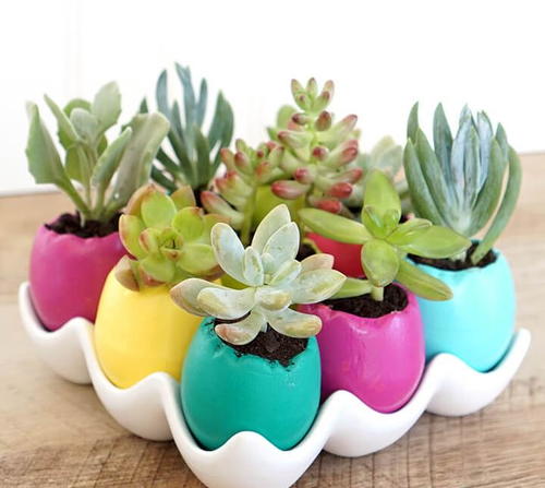 DIY Easter Egg Shell Planter
