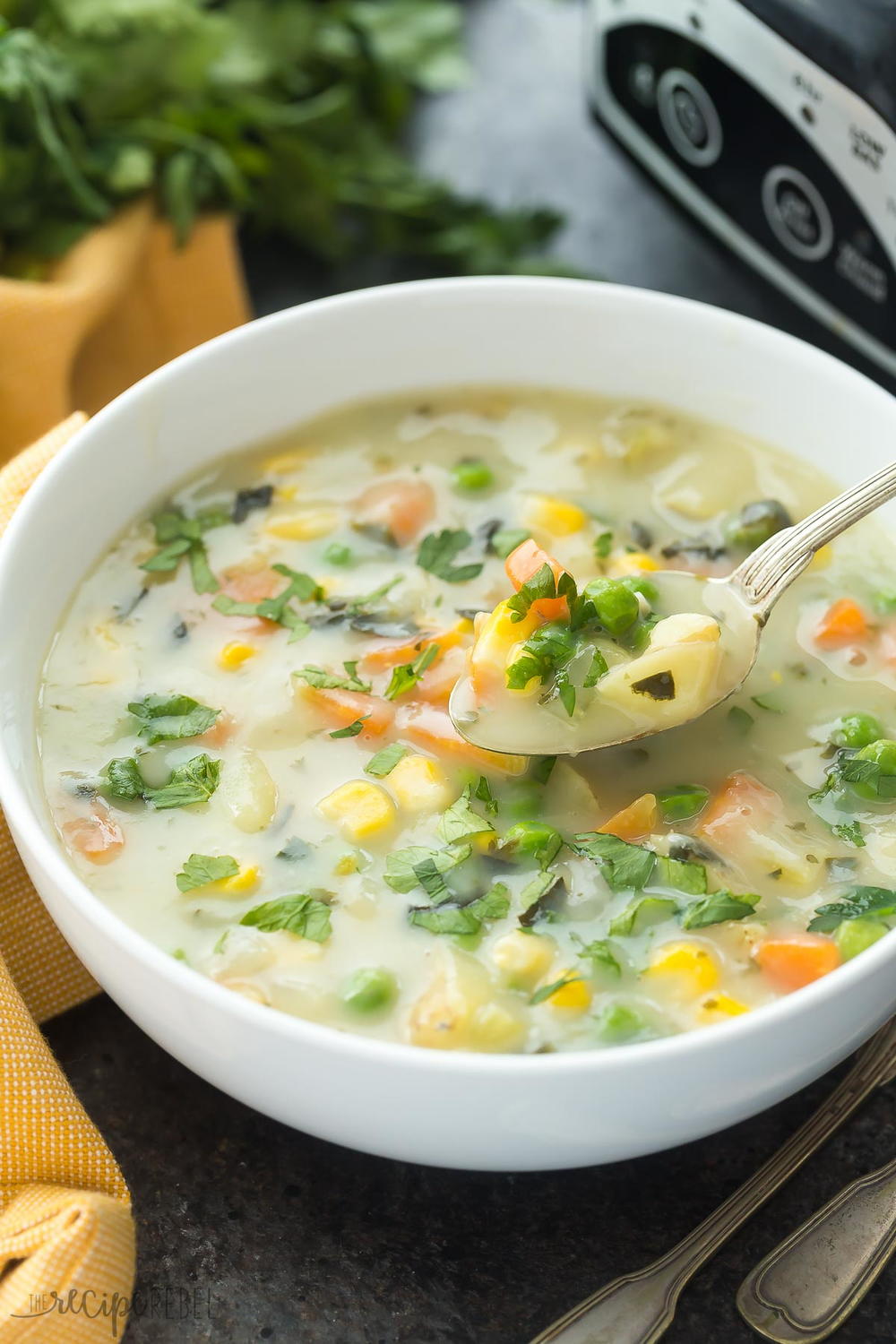 Slow Cooker Creamy Vegetable Soup | AllFreeSlowCookerRecipes.com