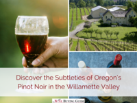 Discover the Subtleties of Oregon’s Pinot Noir in the Willamette Valley
