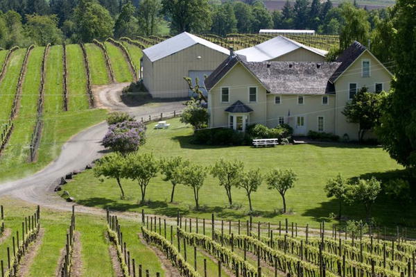 David Hill Winery