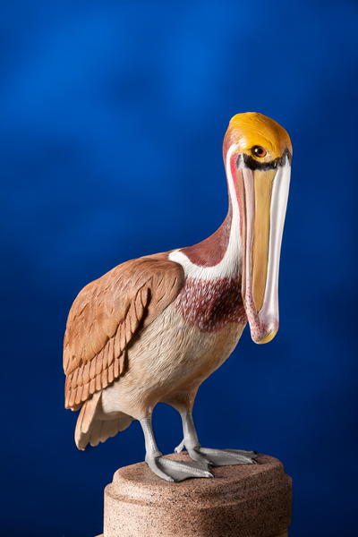 West Coast Brown Pelican Carving Tutorial
