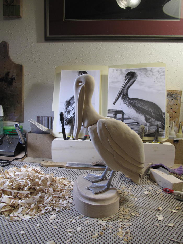 West Coast Brown Pelican Carving | wildfowl-carving.com