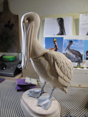 West Coast Brown Pelican Carving | wildfowl-carving.com