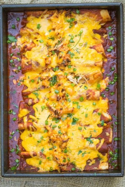 Classic Chicken Enchiladas