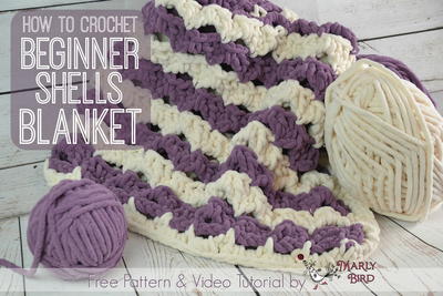 Beginner Shells Crochet Blanket