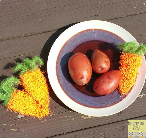 Carrot Vegetable Scrubby