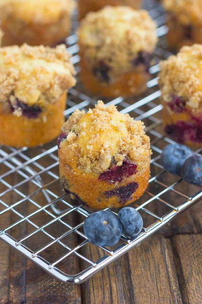 Blueberry Coffee Cake Bites