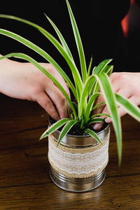 Coffee Tin Flower DIY Vase