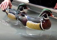 Judging Wood Ducks at ODCCA Part Two