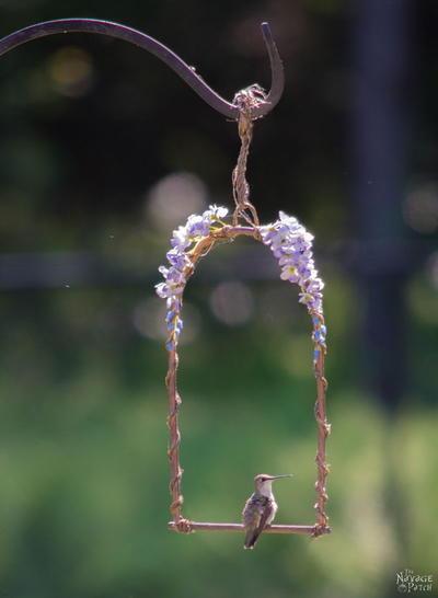 DIY Hummingbird Perch