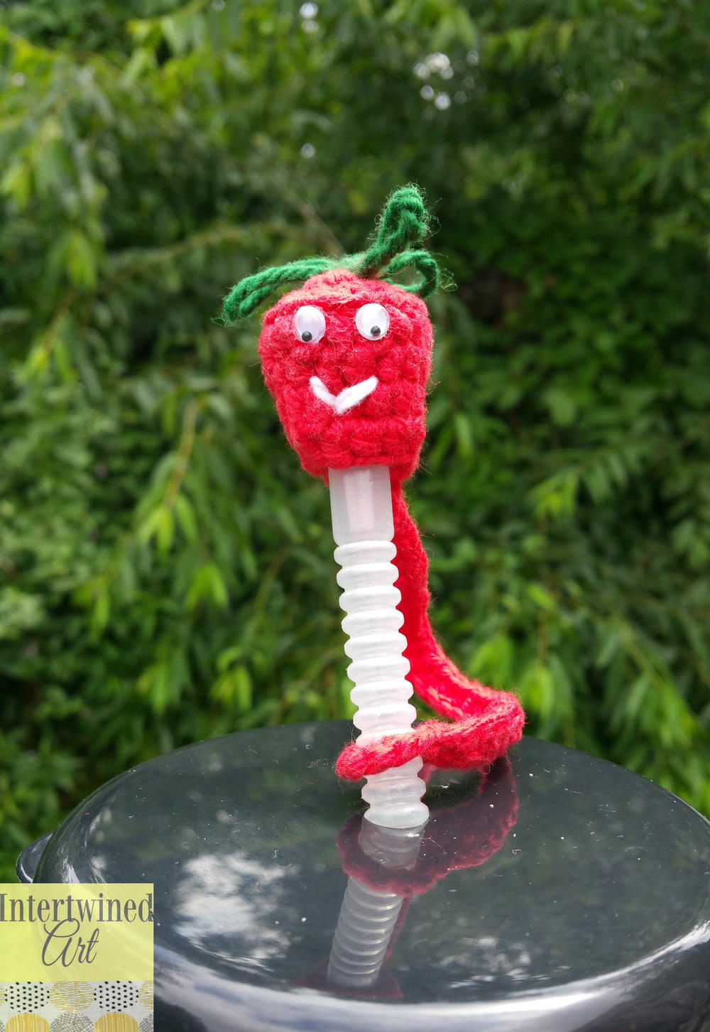 Strawberry Straw Buddy