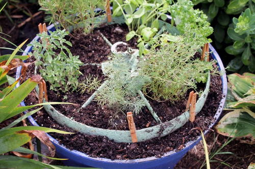 Rustic Wheel Herb Garden Design