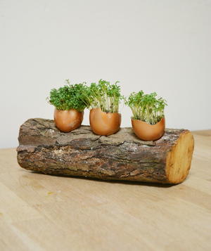 Egg Shell Table Decoration Diyideacenter Com