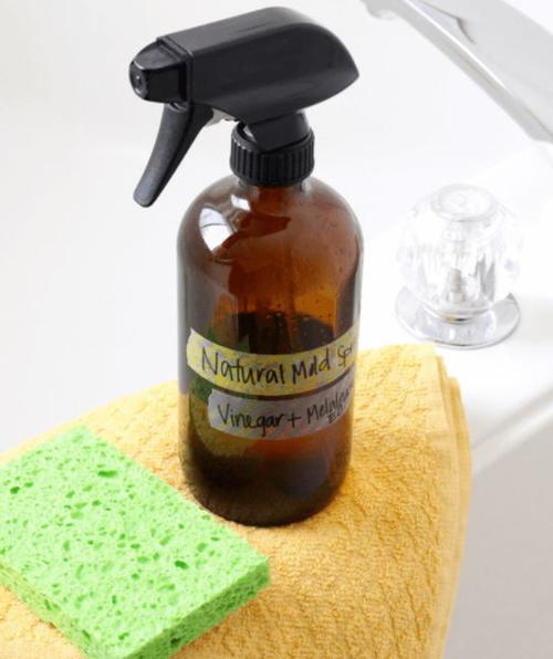 Natural Vinegar DIY Mildew Cleaner