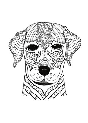 37 Printable Animal Coloring Pages (PDF Downloads ...