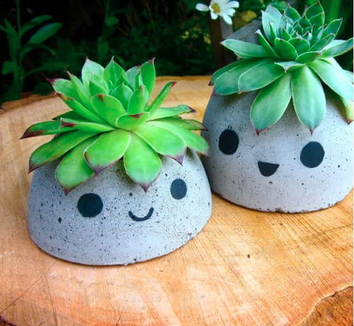 Too Cute DIY Concrete Planters