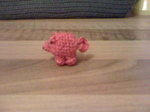 Tiny Mr Pig