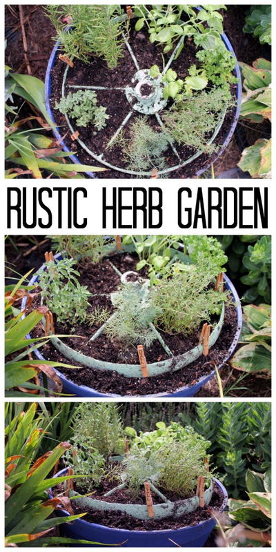 Rustic Herb Garden
