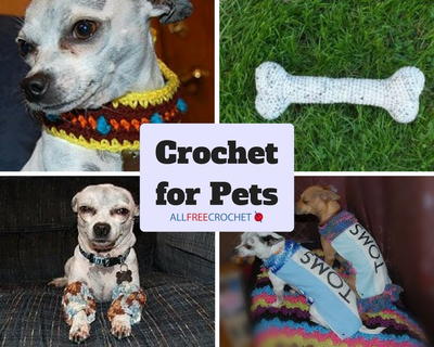 17 Patterns: Crochet for Pets