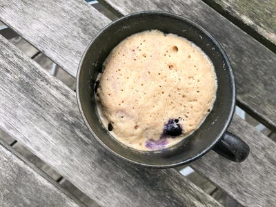 Vegan Blueberry Muffin Mug Cake