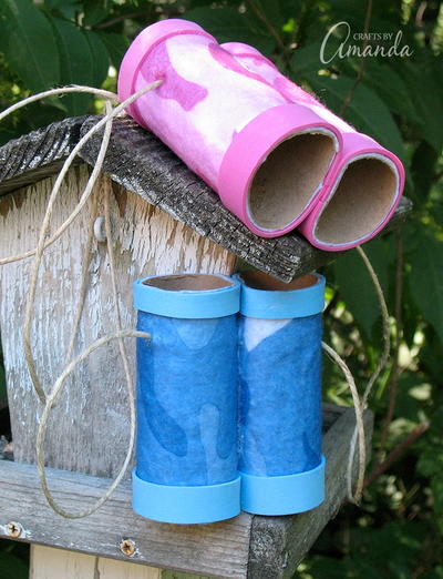 Toilet Paper Roll DIY Binoculars