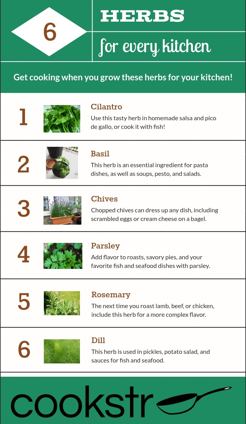 8 Herb Garden Tips For Cooks What To Plant When To Harvest And More Cookstr Com
