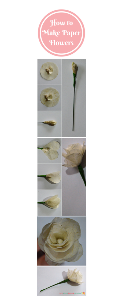 How to Make Paper Flowers