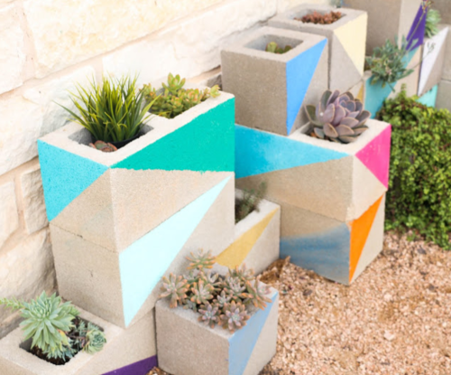 Colorful DIY Succulent Garden