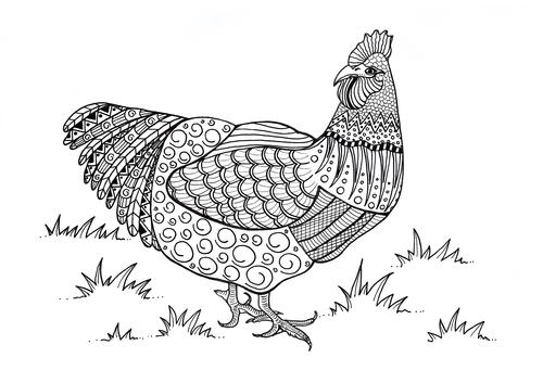 67 Coloring Pages Of A Chicken Pictures