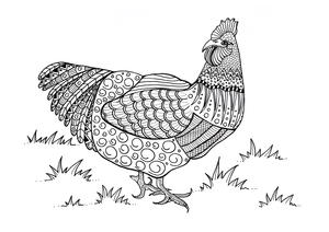 Colorful Chicken Adult Coloring Page