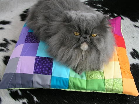 Color Spectrum DIY Pet Bed